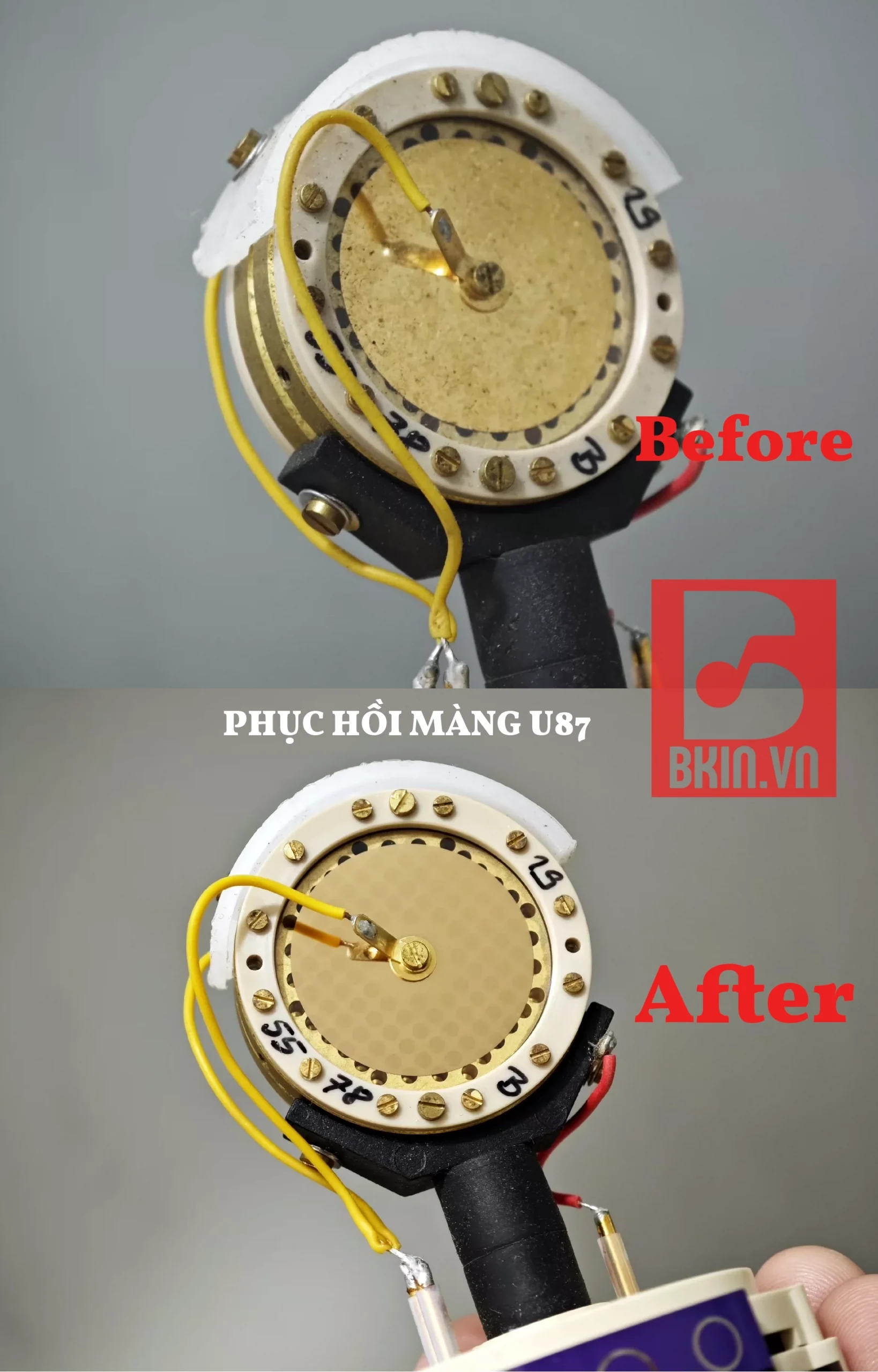 Phục Hồi Capsule Gốc Căng lại màng thu Microphone Thu Âm 2