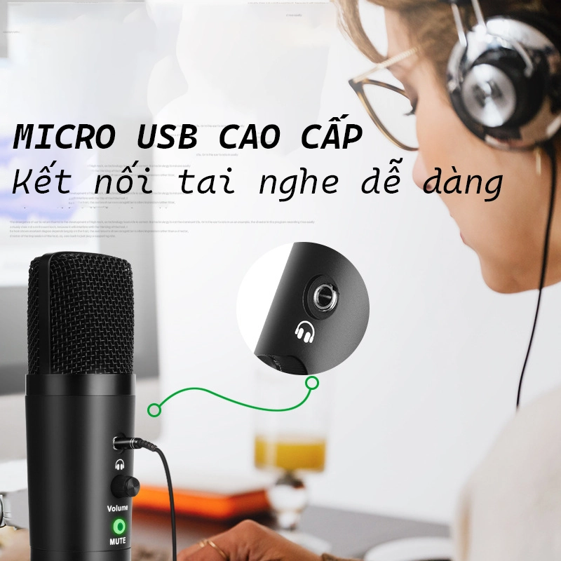mic thu am usb